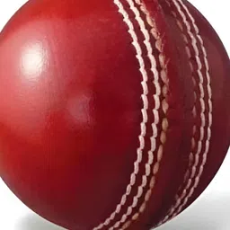HackerX Leather Sports Cricket Ball-35