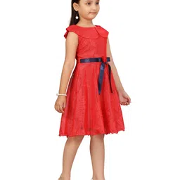 BAESD Net Fit & Flare Dress-picture-52