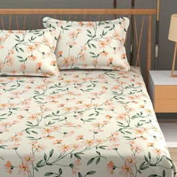 MallowWorld Green & Cream-Coloured Floral 200 TC Queen Bedsheet with 2 Pillow Covers-image-51