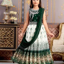 Aarika Girls Embroidered Ready to Wear Lehenga & Blouse With Dupatta image 5