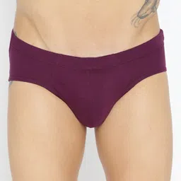 Roadster Pure Cotton Mid-Rise Basic Briefs RBIE-1003-WN-1-picture-51