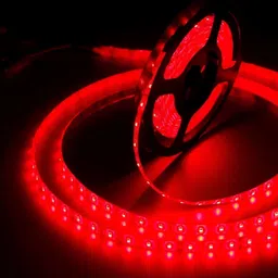 ENORMITY Red Rice Shape String Light-13