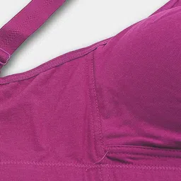 Trylo Bra Full Coverage image 4