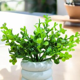 Go Hooked Artificial Mini Plants Pot image 4