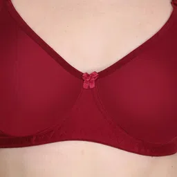 Samvar Bra Full Coverage Lightly Padded image 3