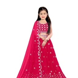 F Plus Fashion Multi Net Lehenga Choli-picture-18