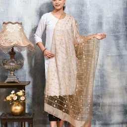 swatika Embroidered Organza Dupatta with Thread Work-6