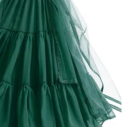 DIVASTRI Embellished Sequinned Semi-Stitched Lehenga & Unstitched Blouse With Dupatta image 2