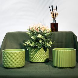TRUSTBASKET Green Haven 3-Pcs Green TexturedPlanter-14