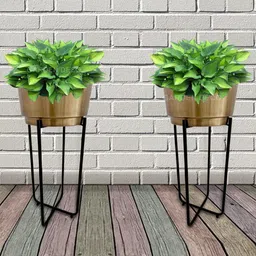 Garden Deco Black & Beige 2 Pieces Brass Planter With Stand-32