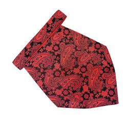 Paisley Design Cravats-image-84