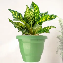 Kuber Industries Green Set Of 12 Plastic 2-Layer Planters image 2