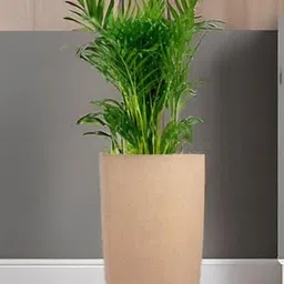 go hooked 18 Inch Tower Pots with Saucer Tray Planter image 5