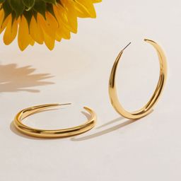 Accessorize Stainless Steel Circular Hoop Earrings-image-10