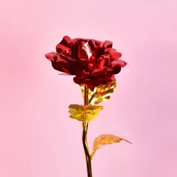 SOWPEACE Red & Gold-Toned Scarlet Love Rose Curio Showpiece-image-7
