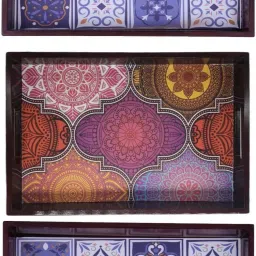 AHS-T0838 Tray-image-7