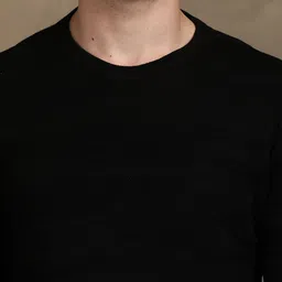Turtle Men Self Design Long Sleeves Pullover image 5