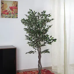 ARICK DECOR Green 1 Pieces Ficus Artificial Plant With Pot-image-96