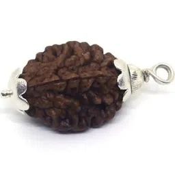 Divine souvenirs Alloy Brown Rudraksha Pendant-image-94