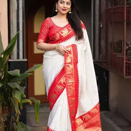 AMRUTKALA SAREES Checked Zari Banarasi Saree-image-96