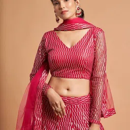 ODETTE Embroidered Sequinned Net Semi-Stitched Lehenga & Blouse With Dupatta image 2