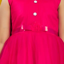 Aarika Net A-Line Midi Dress image 2