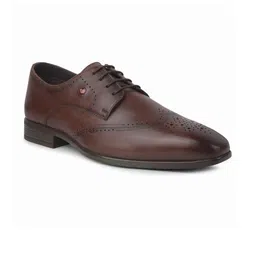 Lee Cooper Men Brown Formal Shoes-image-64