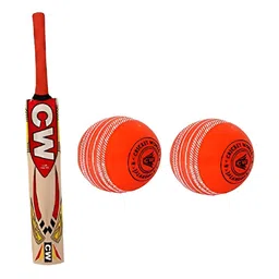 CW Smasher Kashmir Willow Cricket Bat-34