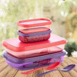 4 Compartment Red and Violet Lunch Box Office, School. Collage Use 4 Containers Lunch Box-image-91