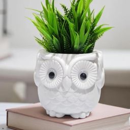 OWLWHITEGRASS Bonsai Artificial Plant with Pot-image-29