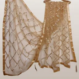 Net Embellished Gold Women Dupatta-image-41