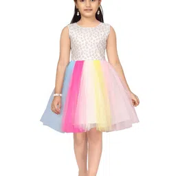 BAESD Net Fit & Flare Dress-33