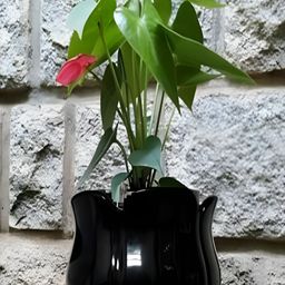 NIYARA Black Lotus Ceramic Planter-7