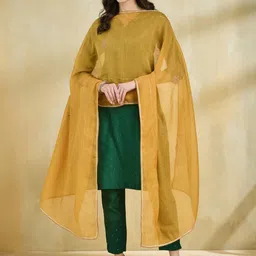 Fabindia Embroidered Cotton Silk Dupatta-picture-10