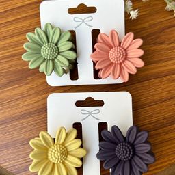 Radhya Accessories Women Set of 4 Claw Clip-74