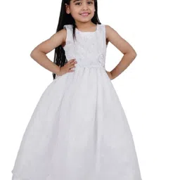 Wow Princess Net A-Line Maxi Dress-image-99