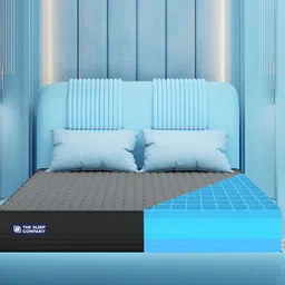 THE SLEEP COMPANY SmartGRID Ortho Pro Pressure Relieving 6 Inch Queen Mattress (78x66x6)-image-22
