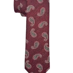 The Tie Hub Men Printed Skinny Tie-image-96