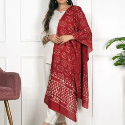 Style Shoes Women Printed Stole-14