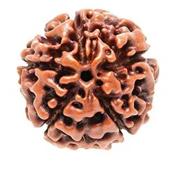 RAVIOUR LIFESTYLE Unisex Brown Pendant-picture-45