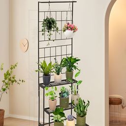NIYARA Black Rectangular Planter Stands-0