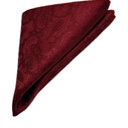 VOICI Paisley Printed Pocket Squares-image-77