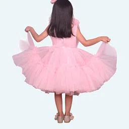 Modish Net Fit & Flare Dress image 3