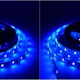 260 LEDs 6 M Blue Steady Strip Rice Lights-28