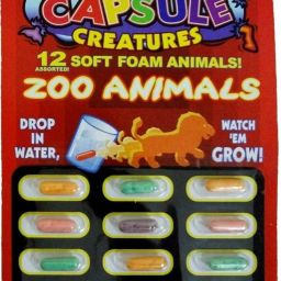 Animals Multi Color Growing Figures Toy 12 Pcs for Kids (Zoo Animal Capsule)-5