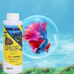 Aquatic Remedies Chlor Away (100 ML) Aquarium Fish Tank Water Chlorine Remover Aquarium Tool-image-2