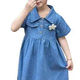 StyleCast x Revolte Pack Of 4 Girls Applique Lapel Coller Fit And Flare Dress-picture-45