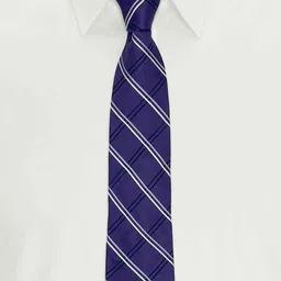 The Tie Hub Men Checked Broad Tie image 5