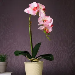 Myntra Elegant Homes Beige 1 Pieces Orchid Artificial Plant With Pot-18