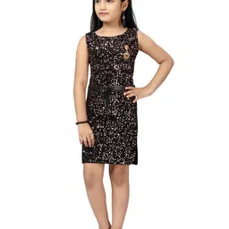 Aarika A-Line Dress-picture-50
